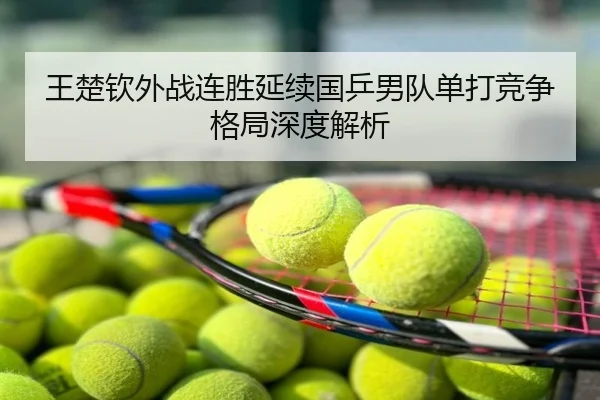 王楚钦外战连胜延续国乒男队单打竞争格局深度解析
